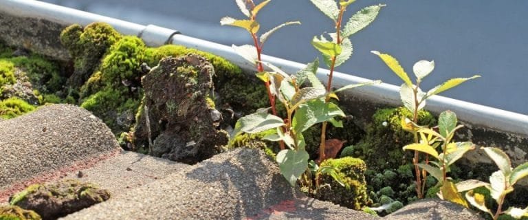 Gutter Installation Near Eastport Long Island NY 11941